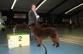 puppy maandag_2